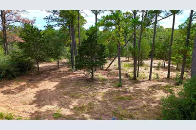 Tbd Modock Drive, Bastrop, TX 78602 - Photo 5