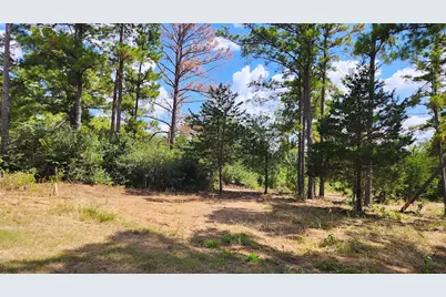 Tbd Modock Drive, Bastrop, TX 78602 - Photo 3