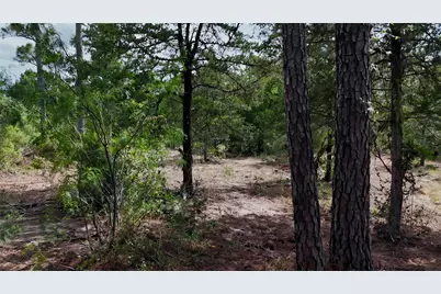 Tbd Modock Drive, Bastrop, TX 78602 - Photo 23