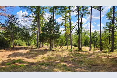 Tbd Modock Drive, Bastrop, TX 78602 - Photo 1
