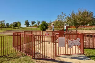 3001 Edwards Plateau, Pflugerville, TX 78660 - Photo 33