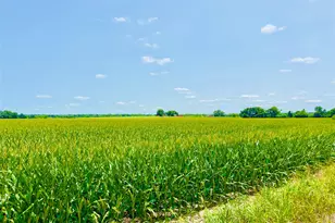 Tbd2 Cr 406, Buckholts, TX 76518 - Photo 1