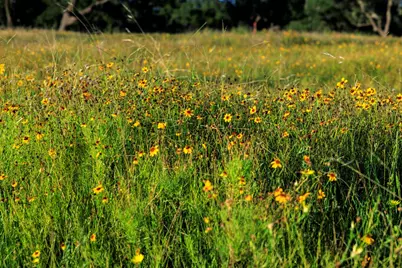 3736-4 County Rd 113, Llano, TX 78643 - Photo 7