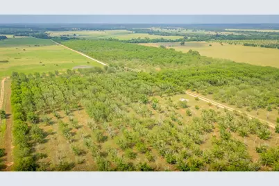 452 Ponderosa Road, Bastrop, TX 78602 - Photo 5