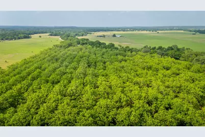 452 Ponderosa Road, Bastrop, TX 78602 - Photo 1