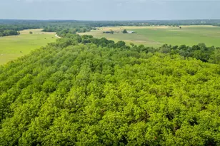 452 Ponderosa Rd, Bastrop, TX 78602 - Photo 1