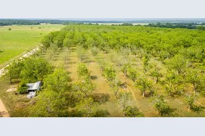 452 Ponderosa Road, Bastrop, TX 78602 - Photo 9