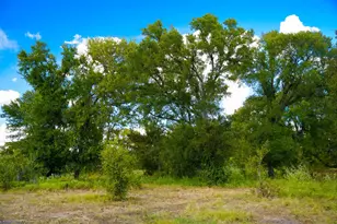 0 Tract 1 Cr 470 - Center, Coupland, TX 78615 - Photo 27