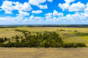 0 Tract 1 Cr 470 - Center, Coupland, TX 78615 - Photo 13