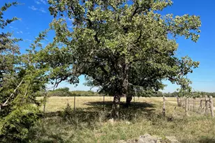 111 Chris Ln, Florence, TX 76527 - Photo 21