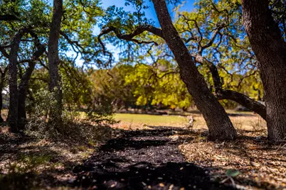 321 Lea Lane, Wimberley, TX 78676 - Photo 27