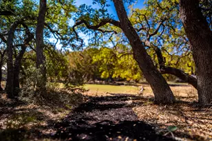 321 Lea Ln, Wimberley, TX 78676 - Photo 27
