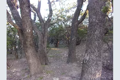 361/395 Mountain Wood Drive, Canyon Lake, TX 78133 - Photo 3