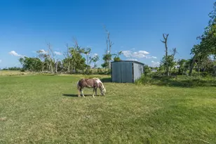 3007 County Rd 303, Jarrell, TX 76537 - Photo 19