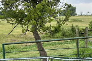 3007 County Rd 303, Jarrell, TX 76537 - Photo 31