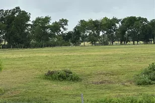 3007 County Rd 303, Jarrell, TX 76537 - Photo 33