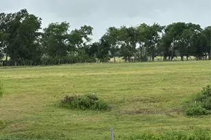 3007 County Rd 303, Jarrell, TX 76537 - Photo 33