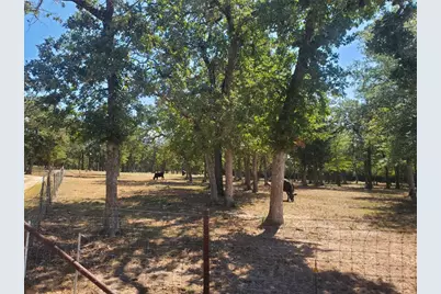 4319 County Road 455, Thorndale, TX 76577 - Photo 9