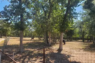 4319 Co Rd 455, Thorndale, TX 76577 - Photo 9