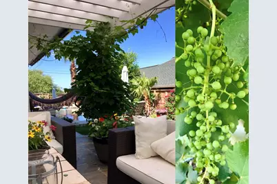 4200 Vista Corta Drive, Lago Vista, TX 78645 - Photo 33