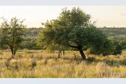 Lot 68 W Leaning Madrone Drive, Johnson City, TX 78636 - Photo 9