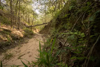 6562 Cross Road, Seguin, TX 78155 - Photo 5