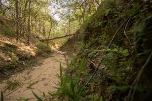 6562 Cross Rd, Seguin, TX 78155 - Photo 5