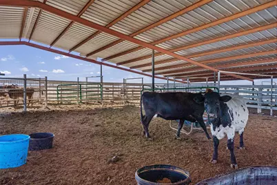 5300 County Road 424, Taylor, TX 76574 - Photo 33