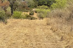 2939 Fm-2342 Rd, Burnet, TX 78611 - Photo 15