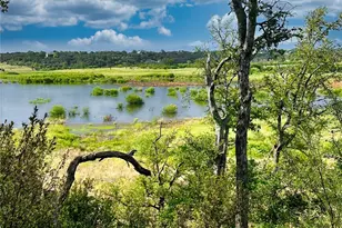 29 Chimney Cove Dr, Marble Falls, TX 78654 - Photo 3