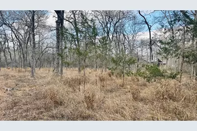 208 Sendero Boulevard, Cedar Creek, TX 78612 - Photo 3