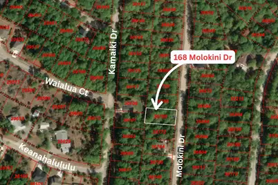 168 Molokini Drive, Bastrop, TX 78602 - Photo 3