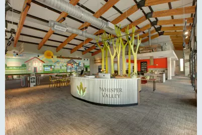 16816 Wind Chime Drive, Manor, TX 78653 - Photo 5