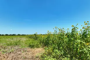 Lot 2 Cr 142 Rd, Cameron, TX 76520 - Photo 1