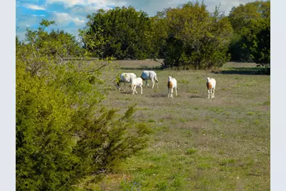 5525 Fm2340 Road, Burnet, TX 78611 - Photo 11