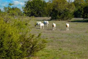 5525 Fm2340 Rd, Burnet, TX 78611 - Photo 11