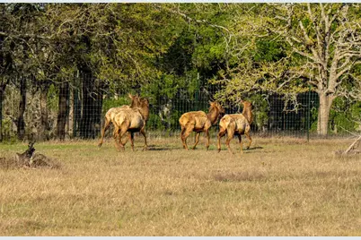 5525 Fm2340 Road, Burnet, TX 78611 - Photo 37