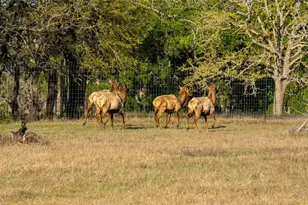 5525 Fm2340 Rd, Burnet, TX 78611 - Photo 37