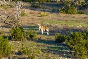 5525 Fm2340 Rd, Burnet, TX 78611 - Photo 33
