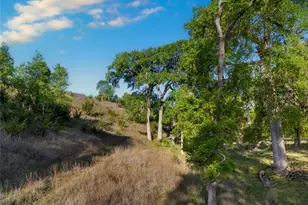 5525 Fm2340 Rd, Burnet, TX 78611 - Photo 25