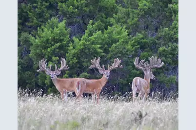 5525 Fm2340 Road, Burnet, TX 78611 - Photo 21