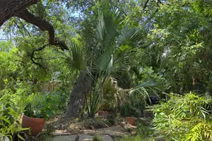 1111 W Oltorf St, Austin, TX 78704 - Photo 39