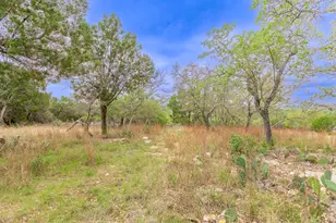 1925 Cripple Creek Stage Rd, Dripping Springs, TX 78620 - Photo 21