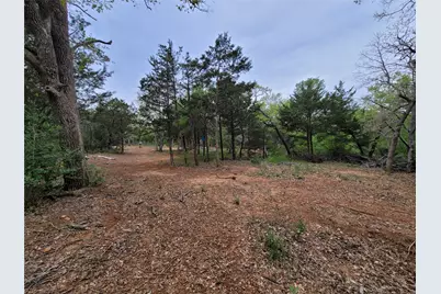 160 Arbor Hill Way, Cedar Creek, TX 78612 - Photo 9