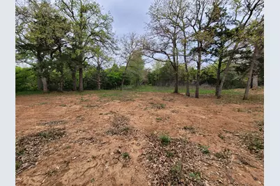 160 Arbor Hill Way, Cedar Creek, TX 78612 - Photo 3
