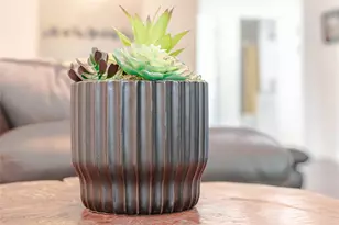 3604 Clawson Rd, Austin, TX 78704 - Photo 15