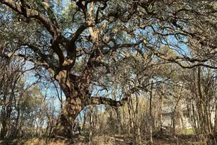 4419 Garnett St, Austin, TX 78745 - Photo 1