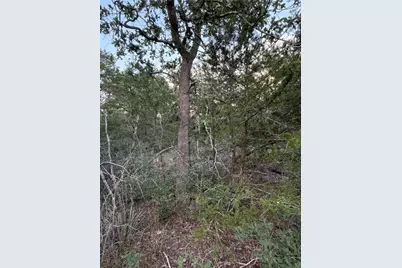 Lot 4 Spruce Street, Paige, TX 78659 - Photo 3