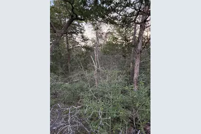 Lot 4 Spruce Street, Paige, TX 78659 - Photo 5