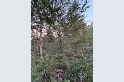 Lot 4 Spruce Street, Paige, TX 78659 - Photo 9